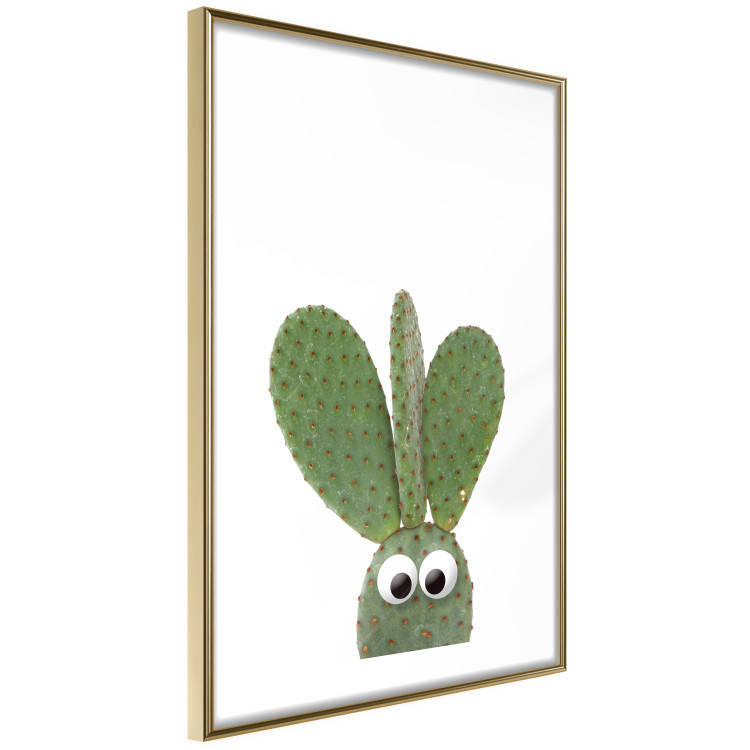 Wall Poster Eared Cactus - funny green plant with eyes on a solid background 116891 additionalImage 7