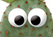 Wall Poster Eared Cactus - funny green plant with eyes on a solid background 116891 additionalThumb 2