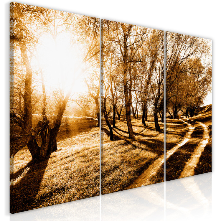 Canvas Print Autumn sun - an alley, trees and nature in a golden light 122191 additionalImage 2