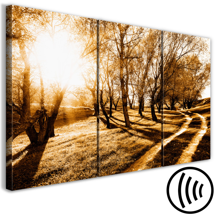 Canvas Print Autumn sun - an alley, trees and nature in a golden light 122191 additionalImage 6