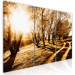 Canvas Print Autumn sun - an alley, trees and nature in a golden light 122191 additionalThumb 2