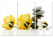 Canvas Feng shui flowers composition - a motif with yellow mallow and stones 123391
