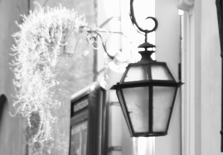 Wall Poster Street Lamps - black and white street architecture with wall lamps 123491 additionalImage 9