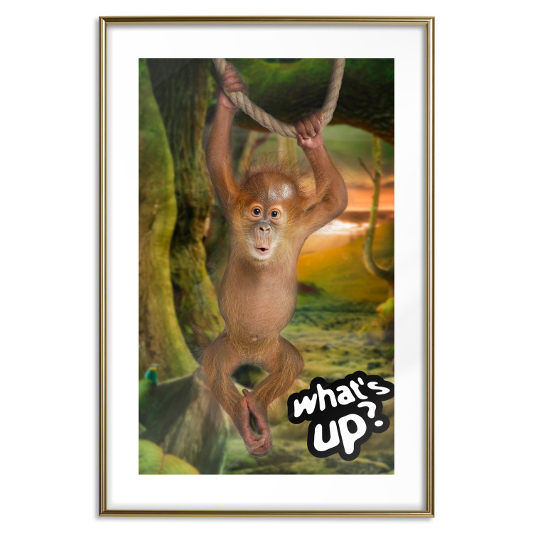 Poster What's Up? - English captions and animal on wire against jungle backdrop 123591 additionalImage 14