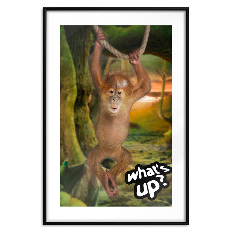 Poster What's Up? - English captions and animal on wire against jungle backdrop 123591 additionalImage 15