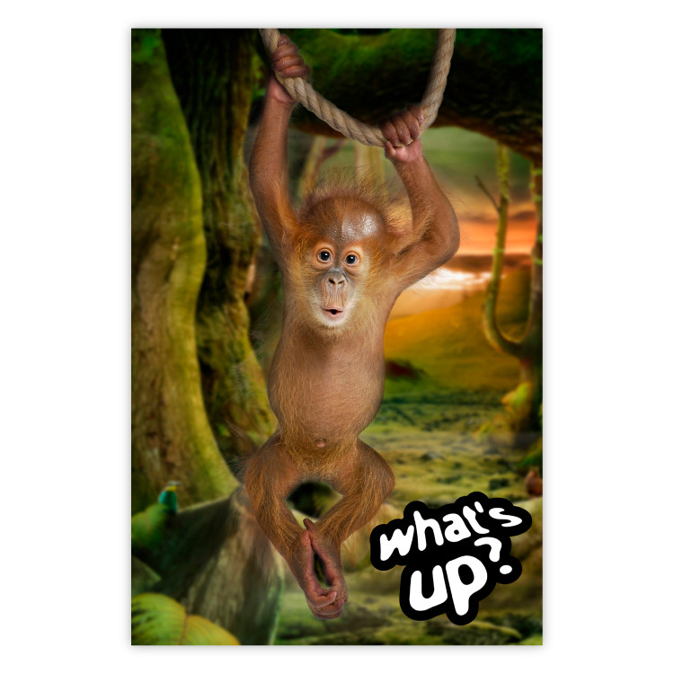 Poster What's Up? - English captions and animal on wire against jungle backdrop 123591
