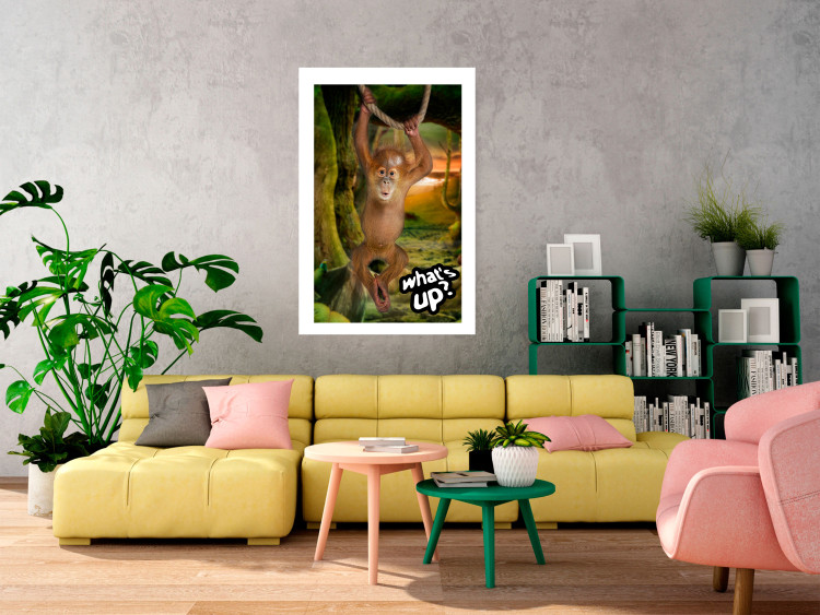 Poster What's Up? - English captions and animal on wire against jungle backdrop 123591 additionalImage 2