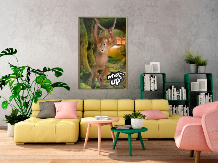 Poster What's Up? - English captions and animal on wire against jungle backdrop 123591 additionalImage 5