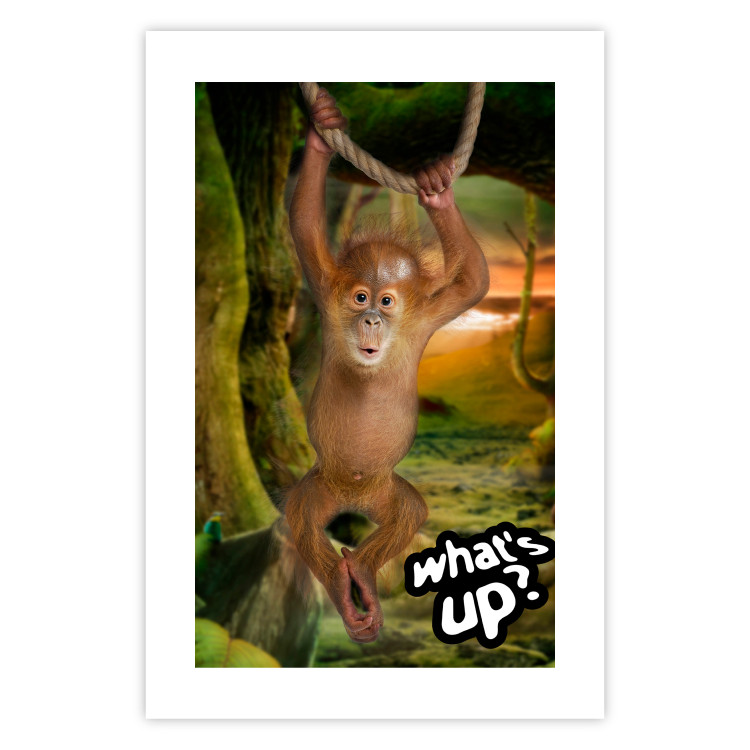 Poster What's Up? - English captions and animal on wire against jungle backdrop 123591 additionalImage 19