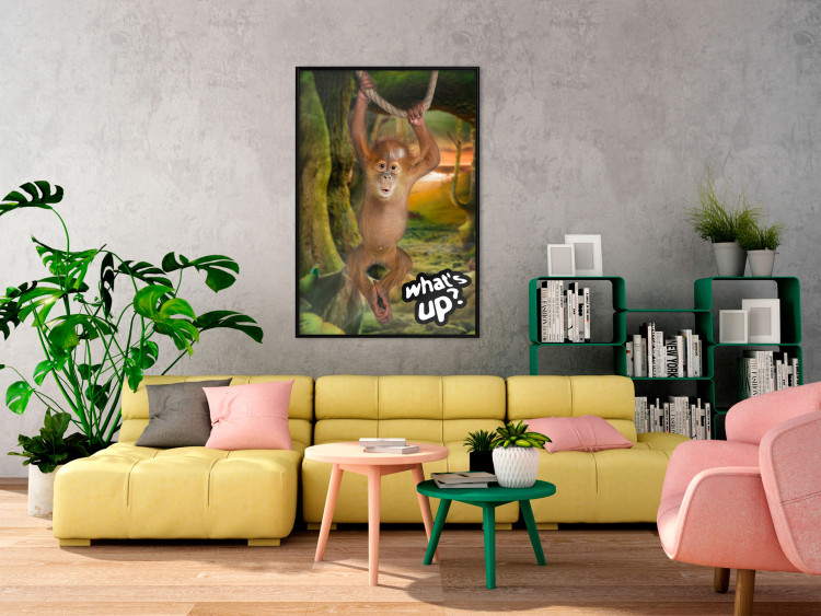 Poster What's Up? - English captions and animal on wire against jungle backdrop 123591 additionalImage 3