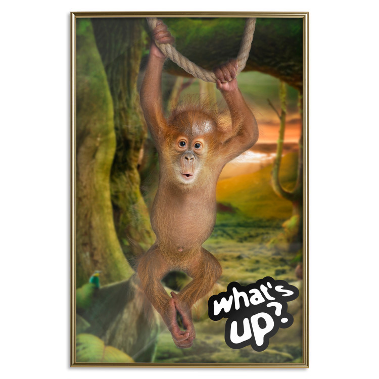 Poster What's Up? - English captions and animal on wire against jungle backdrop 123591 additionalImage 16
