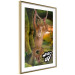 Poster What's Up? - English captions and animal on wire against jungle backdrop 123591 additionalThumb 6