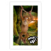 Poster What's Up? - English captions and animal on wire against jungle backdrop 123591 additionalThumb 19