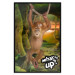 Poster What's Up? - English captions and animal on wire against jungle backdrop 123591 additionalThumb 18