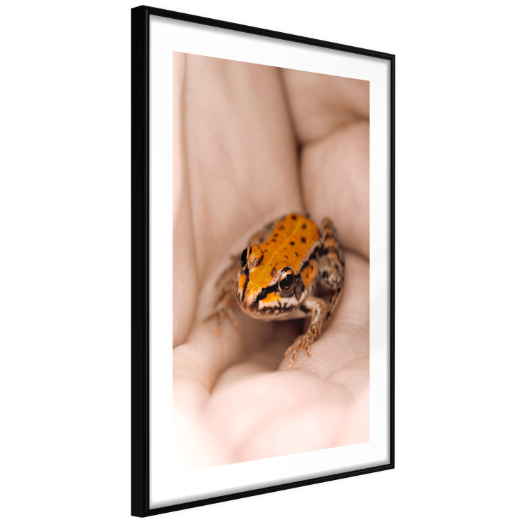 Poster The Good Life - tiny yellow frog on hand of a person 124391 additionalImage 13