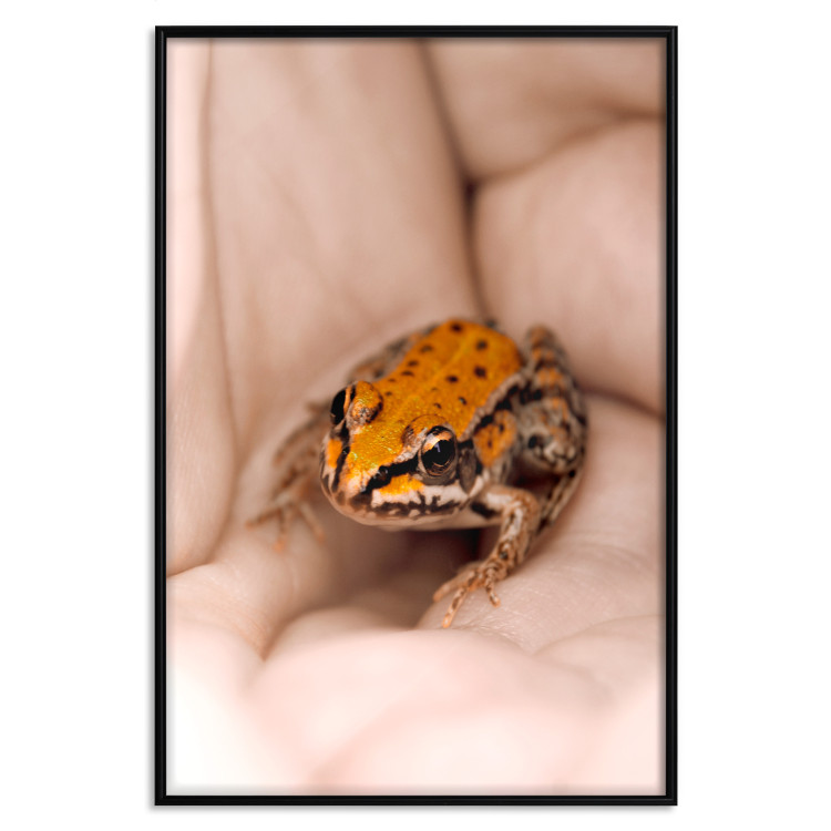 Poster The Good Life - tiny yellow frog on hand of a person 124391 additionalImage 24