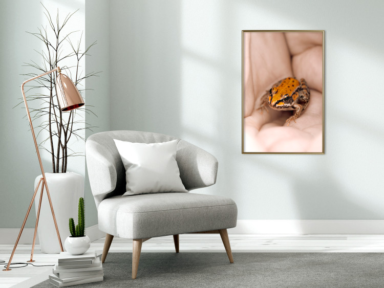 Poster The Good Life - tiny yellow frog on hand of a person 124391 additionalImage 7