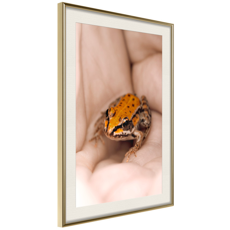 Poster The Good Life - tiny yellow frog on hand of a person 124391 additionalImage 2