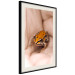 Poster The Good Life - tiny yellow frog on hand of a person 124391 additionalThumb 3