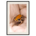 Poster The Good Life - tiny yellow frog on hand of a person 124391 additionalThumb 18
