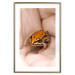 Poster The Good Life - tiny yellow frog on hand of a person 124391 additionalThumb 16