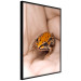 Poster The Good Life - tiny yellow frog on hand of a person 124391 additionalThumb 12