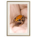 Poster The Good Life - tiny yellow frog on hand of a person 124391 additionalThumb 19