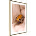 Poster The Good Life - tiny yellow frog on hand of a person 124391 additionalThumb 8