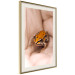 Poster The Good Life - tiny yellow frog on hand of a person 124391 additionalThumb 2