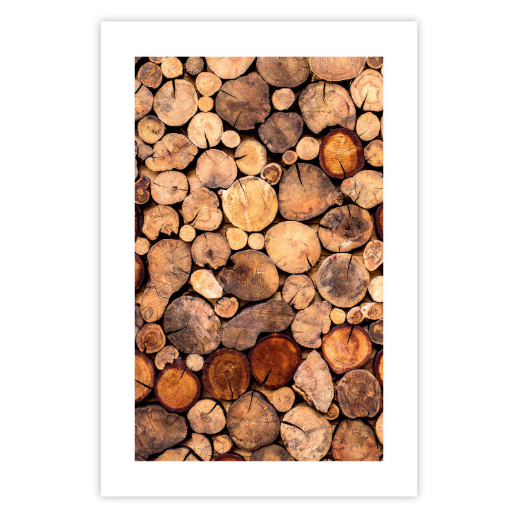 Poster Tree Interior - texture of wood grain in various sizes 124491 additionalImage 15