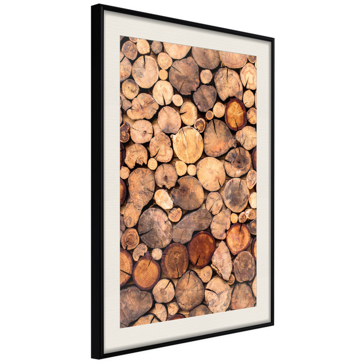 Poster Tree Interior - texture of wood grain in various sizes 124491 additionalImage 3