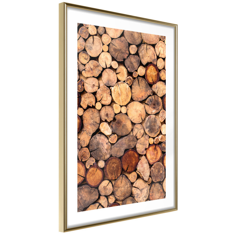 Poster Tree Interior - texture of wood grain in various sizes 124491 additionalImage 6