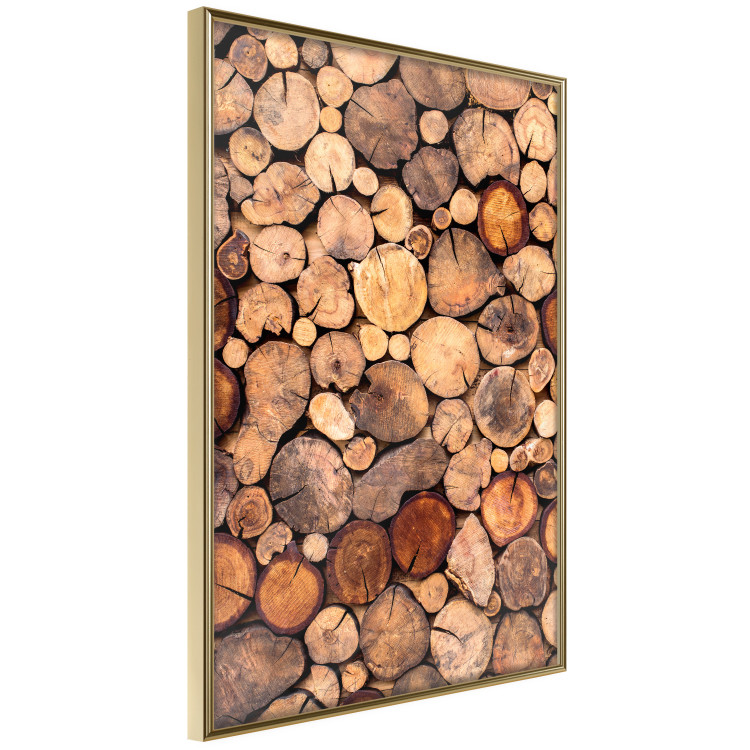Poster Tree Interior - texture of wood grain in various sizes 124491 additionalImage 14