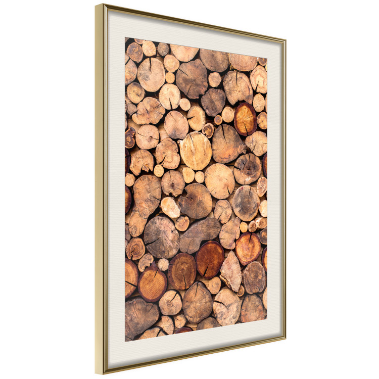 Poster Tree Interior - texture of wood grain in various sizes 124491 additionalImage 2