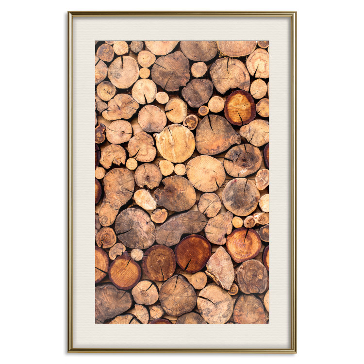 Poster Tree Interior - texture of wood grain in various sizes 124491 additionalImage 23