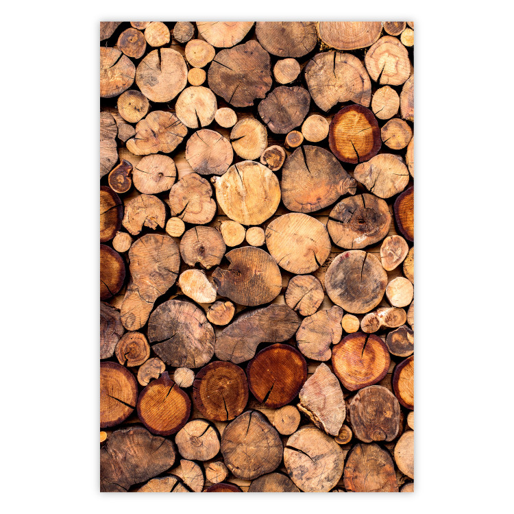Poster Tree Interior - texture of wood grain in various sizes 124491