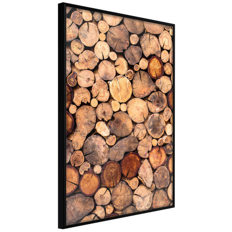 Poster Tree Interior - texture of wood grain in various sizes 124491 additionalImage 10