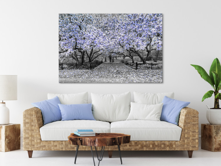 Canvas Art Print Blooming Magnolias - magnolia trees with flowers in shades of violet 128791 additionalImage 3