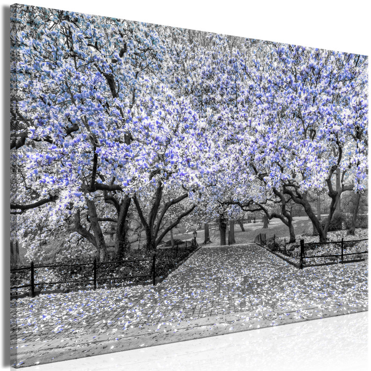 Canvas Art Print Blooming Magnolias - magnolia trees with flowers in shades of violet 128791 additionalImage 2