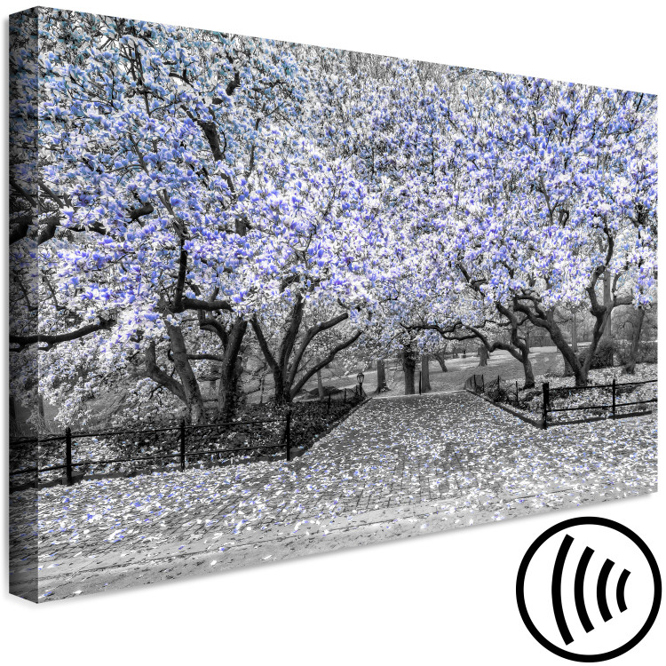 Canvas Art Print Blooming Magnolias - magnolia trees with flowers in shades of violet 128791 additionalImage 6