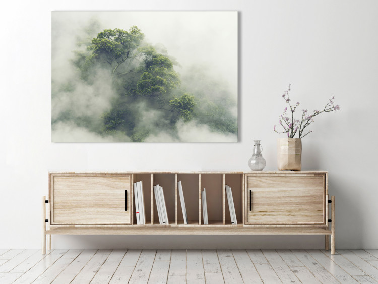 Canvas Misty Amazon (1-part) wide - landscape of an exotic forest 129391 additionalImage 3