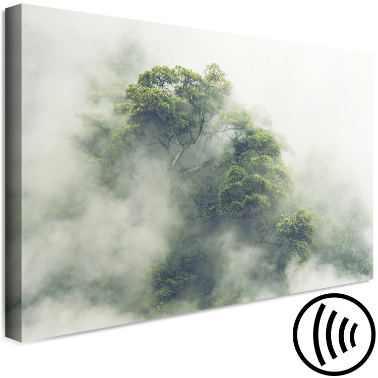 Canvas Misty Amazon (1-part) wide - landscape of an exotic forest 129391 additionalImage 6