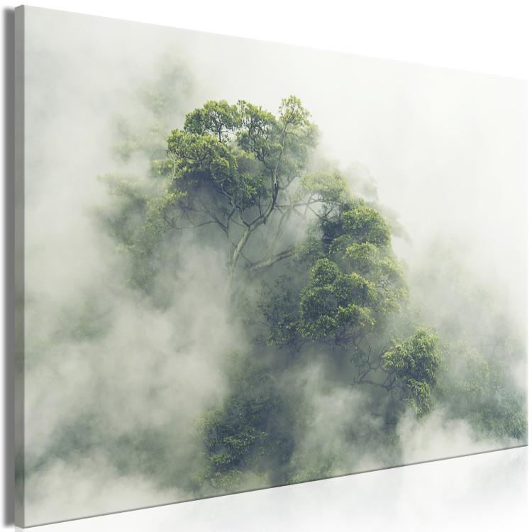 Canvas Misty Amazon (1-part) wide - landscape of an exotic forest 129391 additionalImage 2