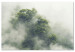 Canvas Misty Amazon (1-part) wide - landscape of an exotic forest 129391