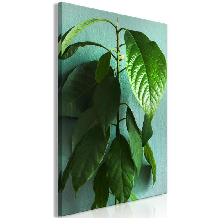 Canvas Art Print Avocado (1-piece) Vertical - landscape of green leaves of a houseplant 129891 additionalImage 2