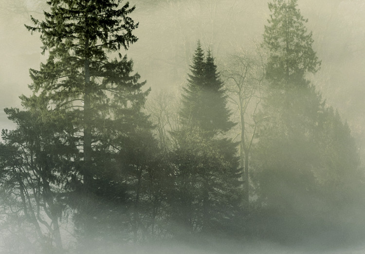 Wall Poster Morning Chill - landscape of trees surrounded by dense fog against the sky 130291 additionalImage 2