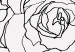 Wall Poster Fantasy Roses - fantasy line art of a woman with flowers on her head 132091 additionalThumb 11