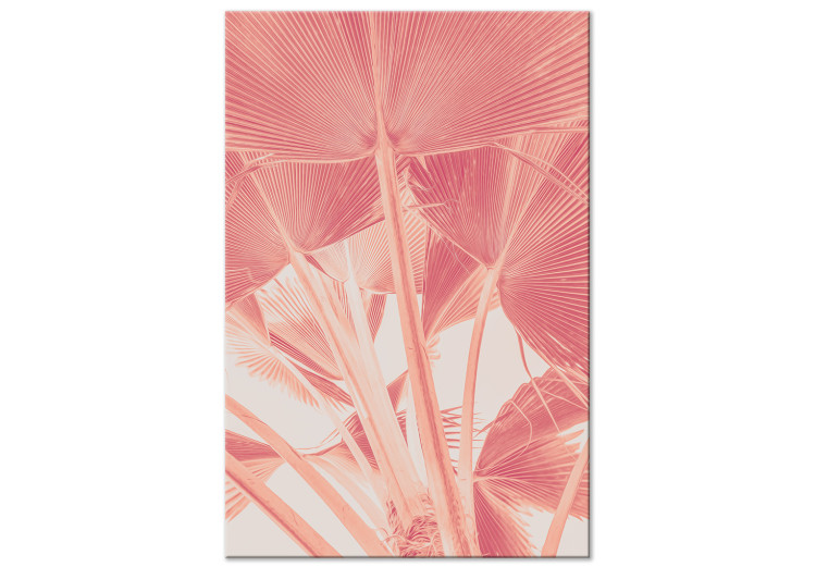 Canvas Print Pink palm - overexposed image of palm leaves in pink 134991