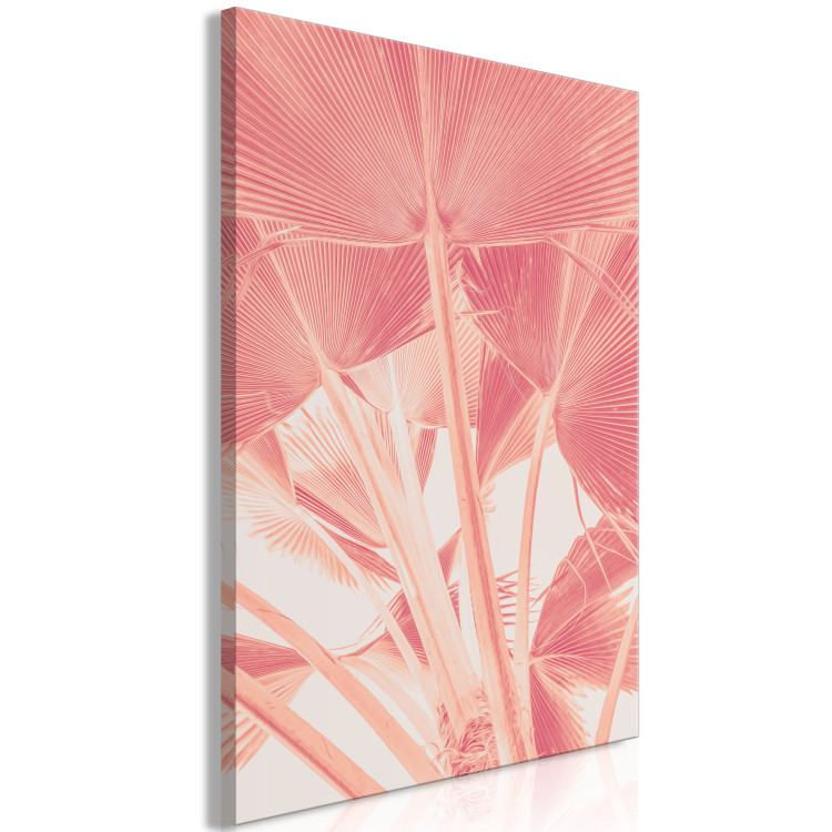 Canvas Print Pink palm - overexposed image of palm leaves in pink 134991 additionalImage 2