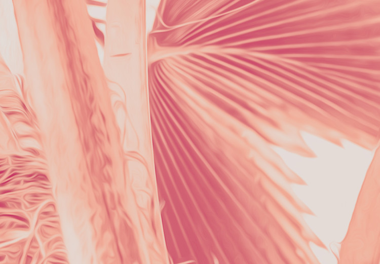 Canvas Print Pink palm - overexposed image of palm leaves in pink 134991 additionalImage 4